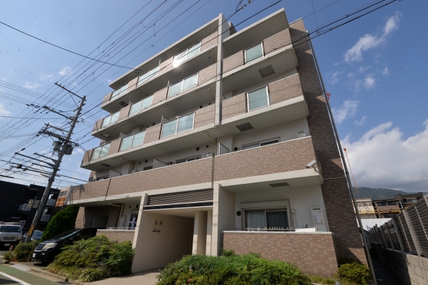 その他写真2