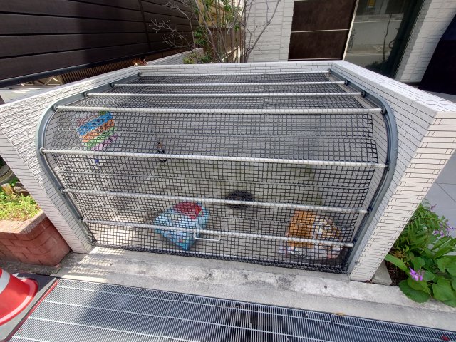 その他写真8